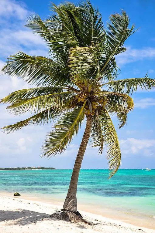 **** Hotel Pavoreal Beach Resort Tulum México