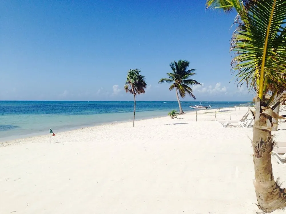 Pavoreal Beach Resort Tulum Hotel