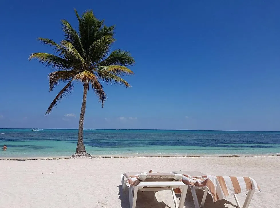 Pavoreal Beach Resort Tulum Hotel